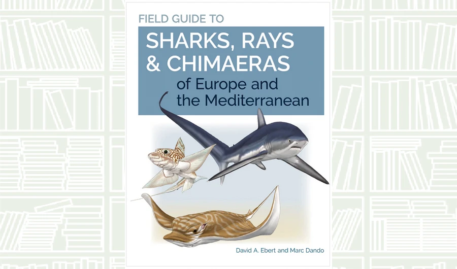 What We Are Reading Today: Sharks, Rays & Chimaeras