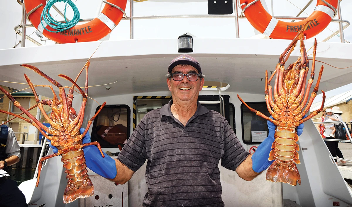 Joe Paratore displays his catch of western rock lobsters aboard his boat to customers at the Fishing Boat Harbour in Fremantle, Australia. (AFP)