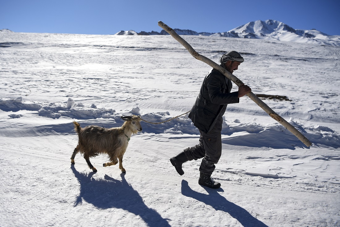 Snowscapes around the world