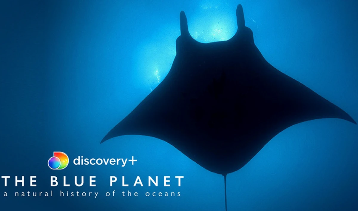 discovery+ features a wide range of exclusive content, including original series and high-quality documentaries, in a variety of genres.