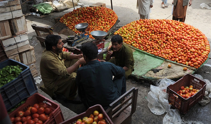 Pakistan: Sindh farmers protest against Imran Khan government over tomato import