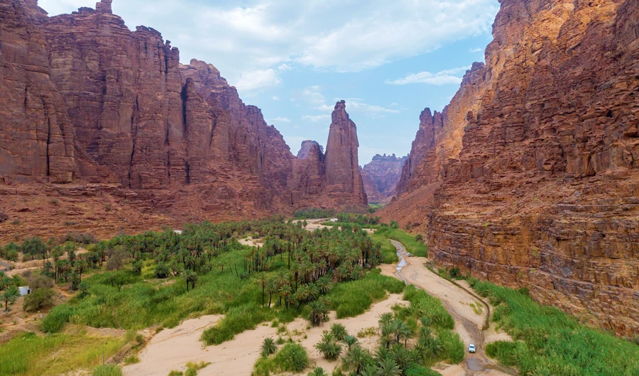 The survey aims to provide data and calculate tourism’s contribution to Saudi gross domestic product. (SPA)