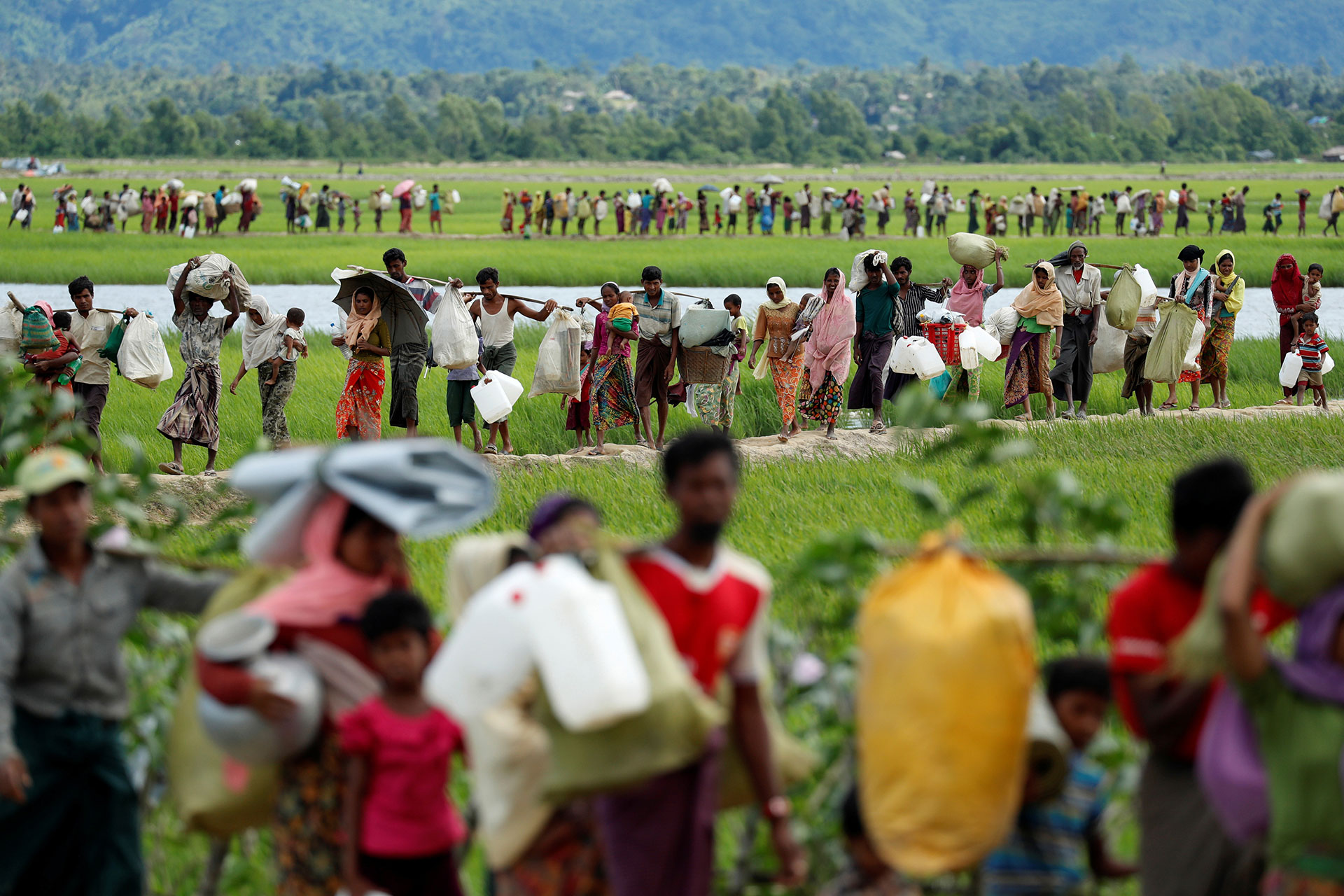 Rohingya refugees cross the border for Myanmar into Bangladesh. (Reuters)