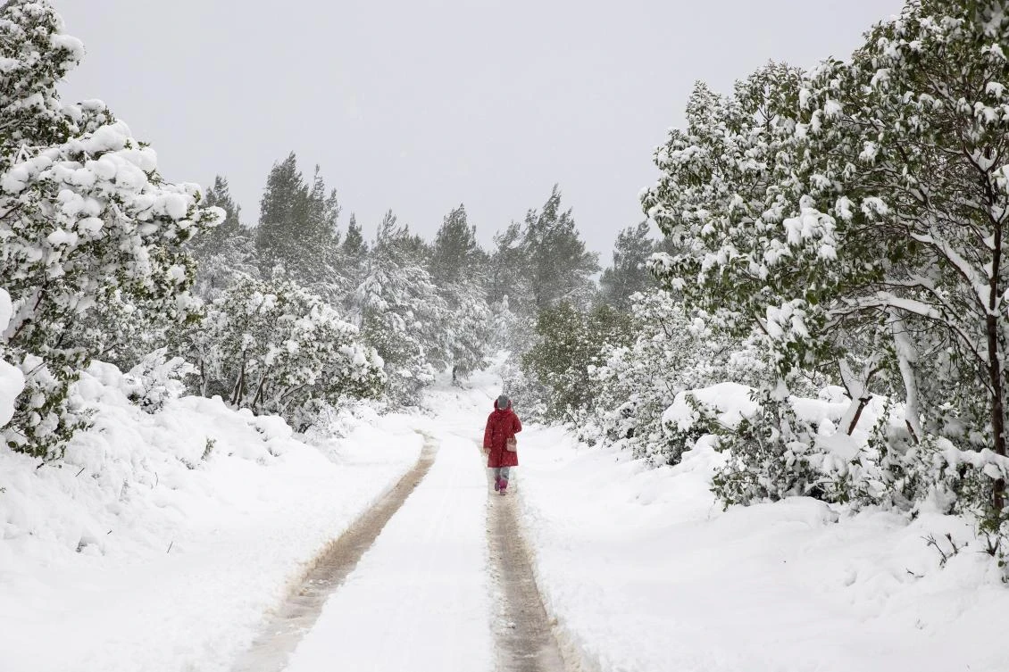 A woman makes her away during heavy snowfall, in the village of Krioneri, Greece, February 15, 2021. REUTERS/Alkis Konstantinidis