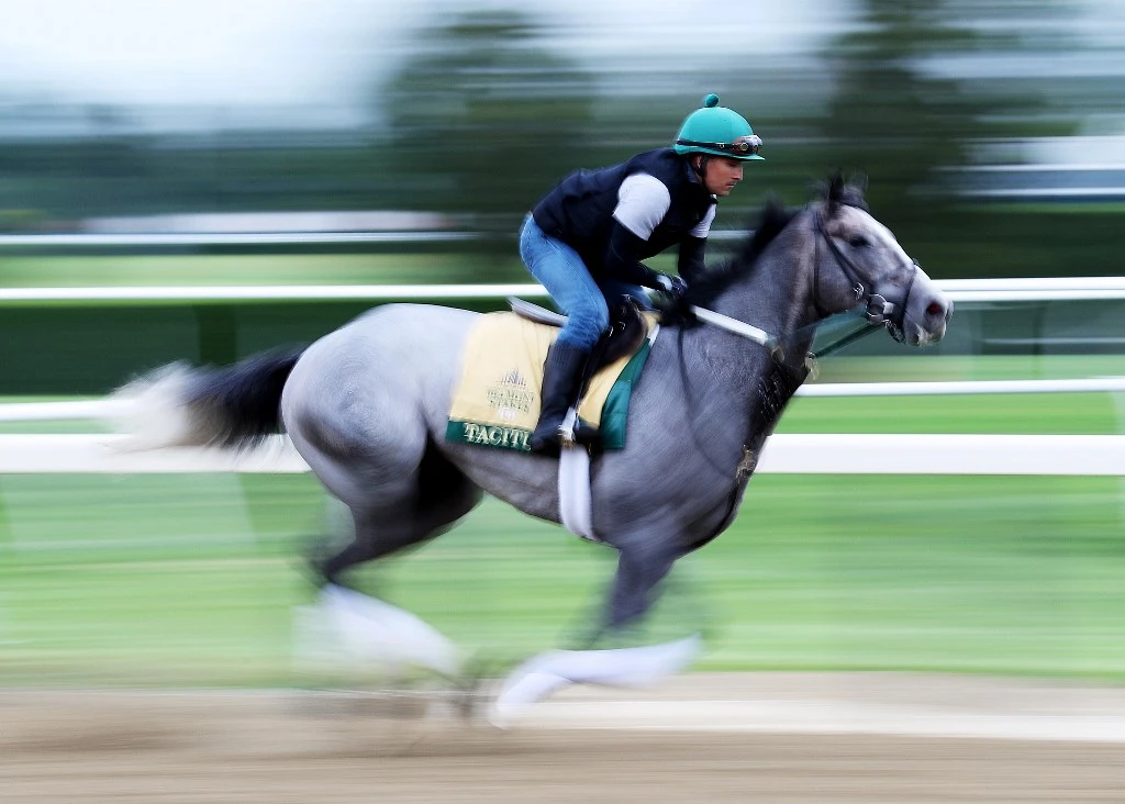 Tacitus, of Juddmonte Farms, is part of a strong American contingent including Brad Cox’s Breeders’ Cup Dirt Mile and Pegasus World Cup winner Knicks Go at this year's Saudi Cup. (AFP/File Photo)