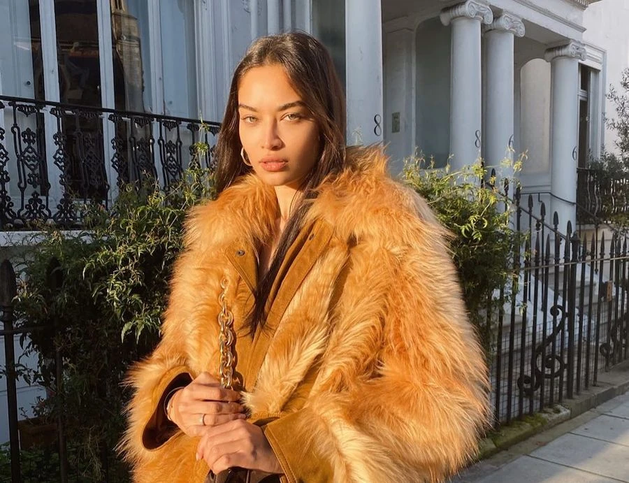 Shanina Shaik is of Saudi, Pakistani, Lithuanian and Australian descent. File/Instagram