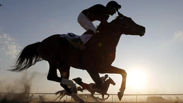 The world's richest horse race, with $20 million prize money, is taking place in Riyadh in February. (File photo: AFP)