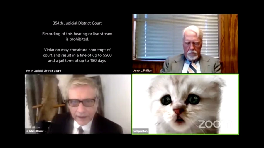 The video, widely shared on Twitter, shows Rob Ponton struggling to figure out how to deactivate the filter from the setting box during a court hearing with judges Jerry L. Phillips and Roy. B Ferguson. (Screenshot)