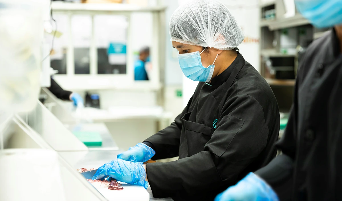 The company works with more than 200 brands globally, operating over 60 kitchens and employing a staff of 1,200 ‘Kitopians.’