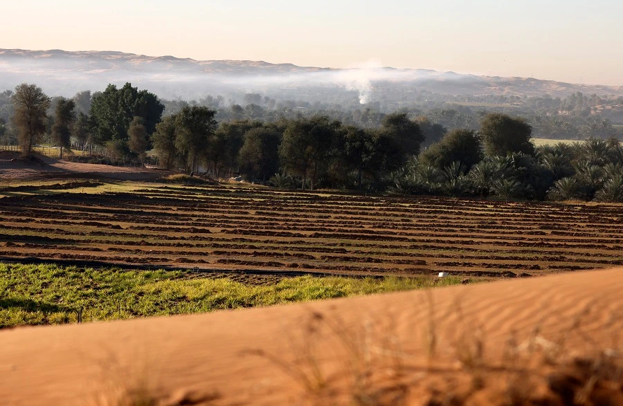 Food security is part of the UAE’s core policy agenda. (File/AFP)
