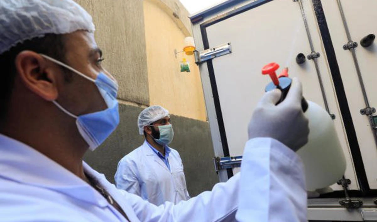 Medical staff at hospitals in Cairo. (Reuters/File)