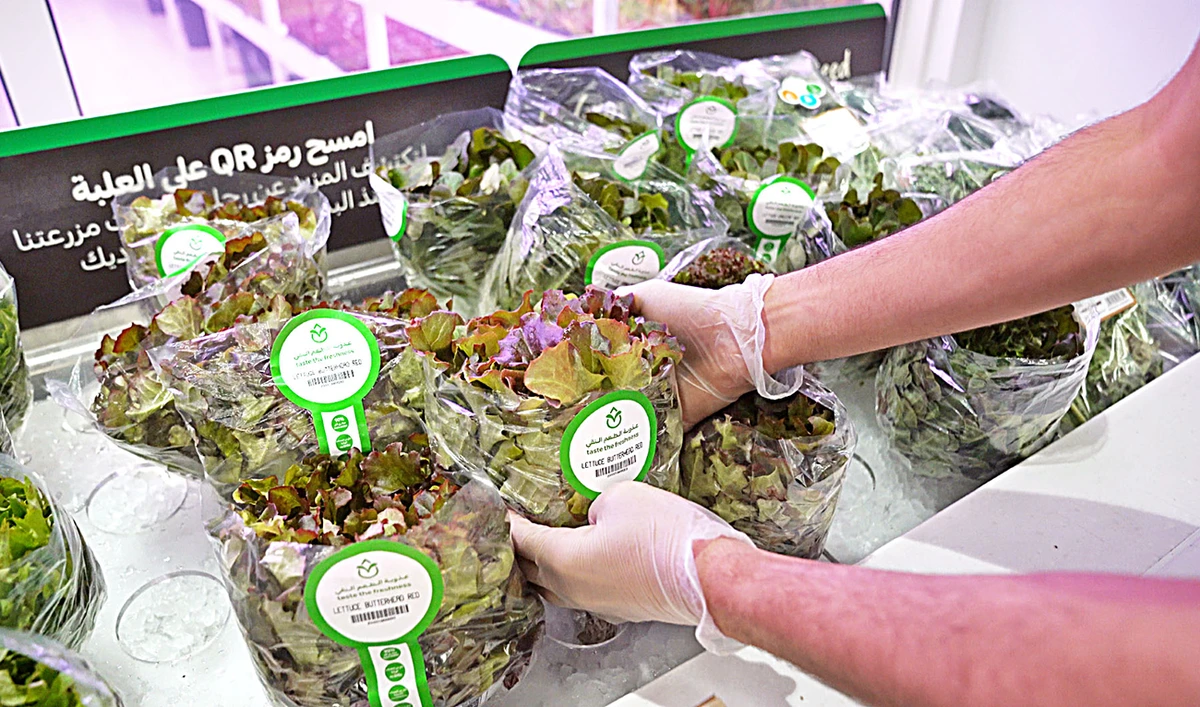 The initiative will start with two initial product categories — Carrefour’s own fresh chicken brand and microgreens harvested from select in-store hydroponic farms.