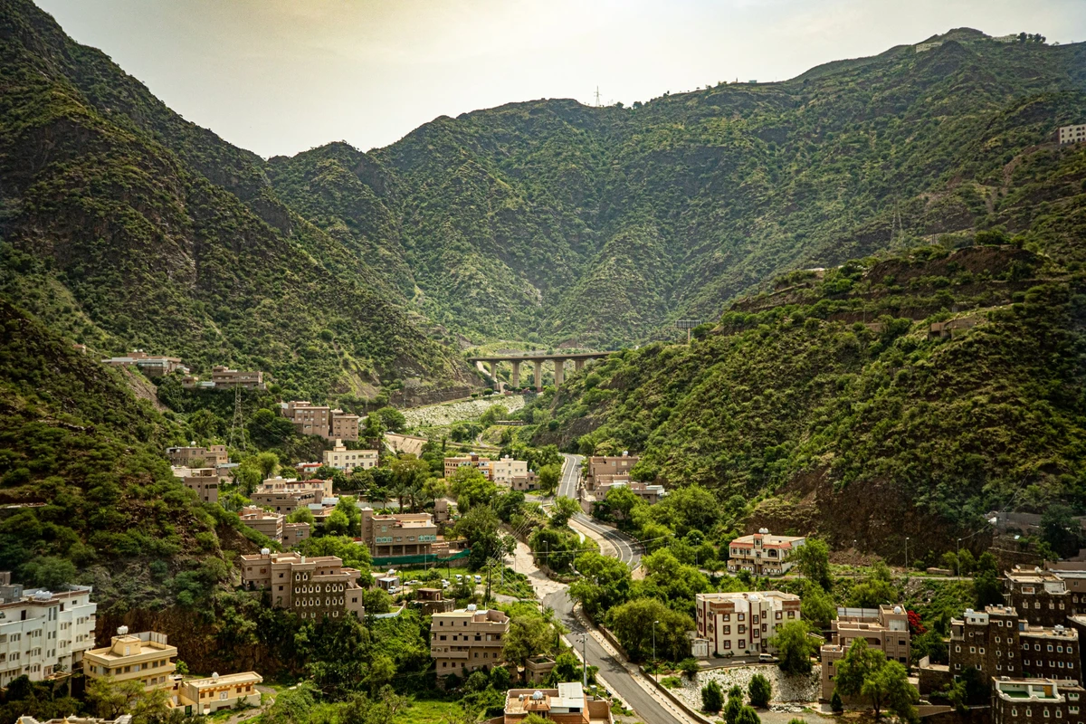 Saudi Arabia announces launch of Soudah Development Company