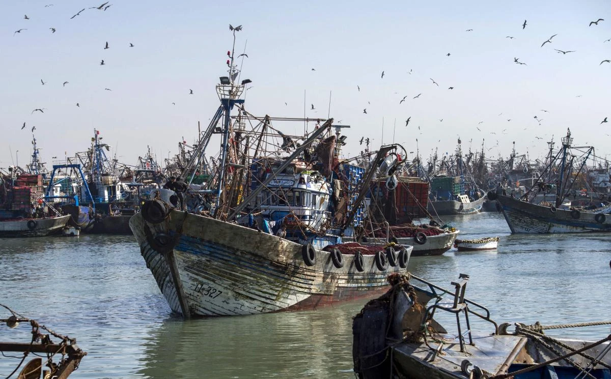 In this file photo taken on November 03, 2018 a fishing boat enters the harbour of the Moroccan-controlled Western Sahara's main city of Laayoune. (File/AFP)