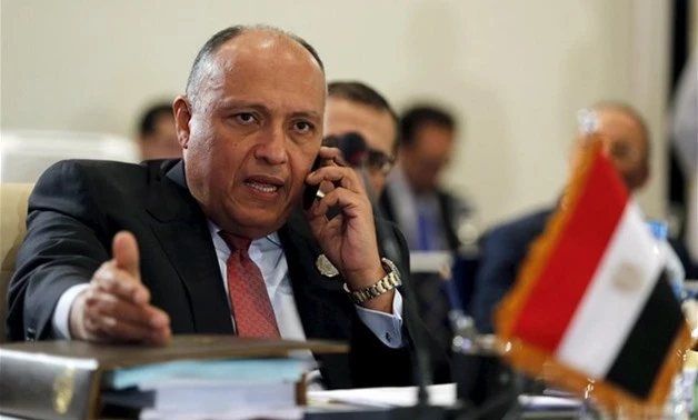 Egyptian Foreign Minister Sameh Shoukry (Reuters)