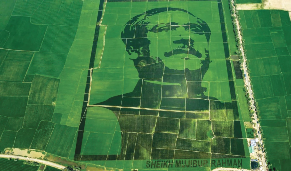 Bangladesh set a Guinness World Record with the largest crop field portrait of its founder, Sheikh Mujibur Rahman, on Tuesday. (Photo by National Agri Care)
