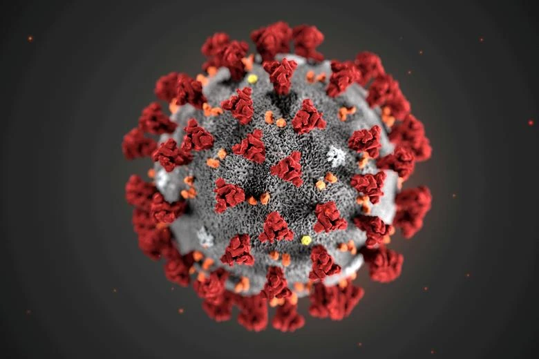 The ultrastructural morphology exhibited by the 2019 Novel Coronavirus (2019-nCoV), which was identified as the cause of an outbreak of respiratory illness first detected in Wuhan, China. (Reuters/File)