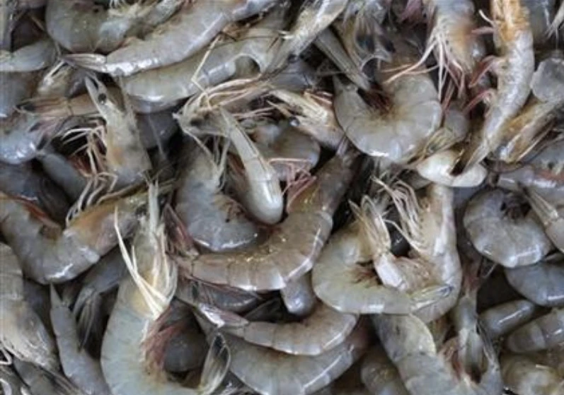 Shrimp sales helped Jazadco report its best profits since 2015. (Reuters)