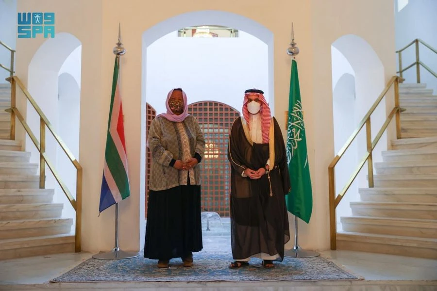 Saudi and South African foreign ministers hold political consultations