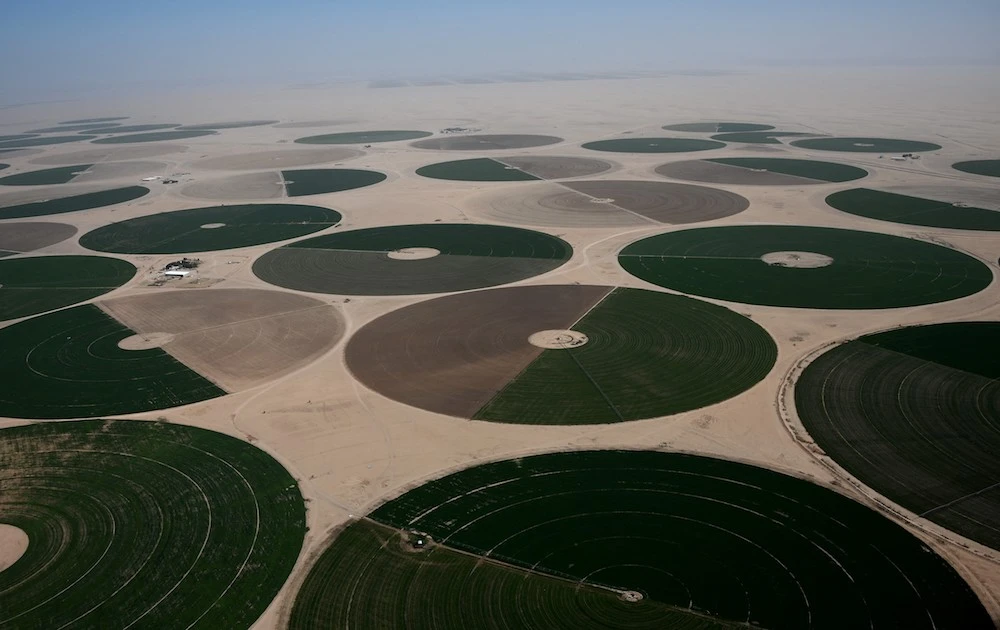 UK praises ‘positive’ Saudi green initiatives