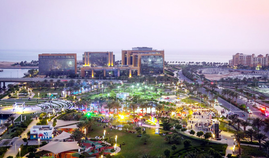 Why the hostility toward Saudi Arabia?