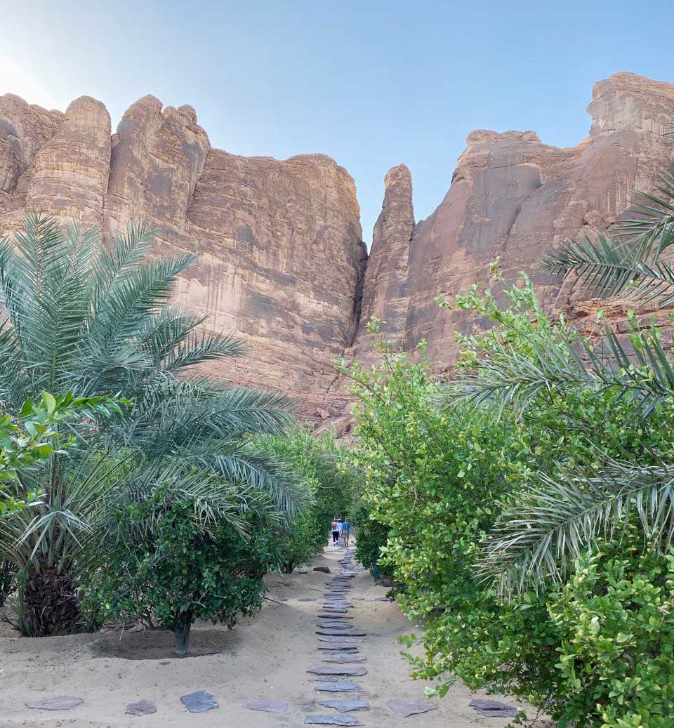 The Place: AlUla Fresh Farm in north-west of Saudi Arabia