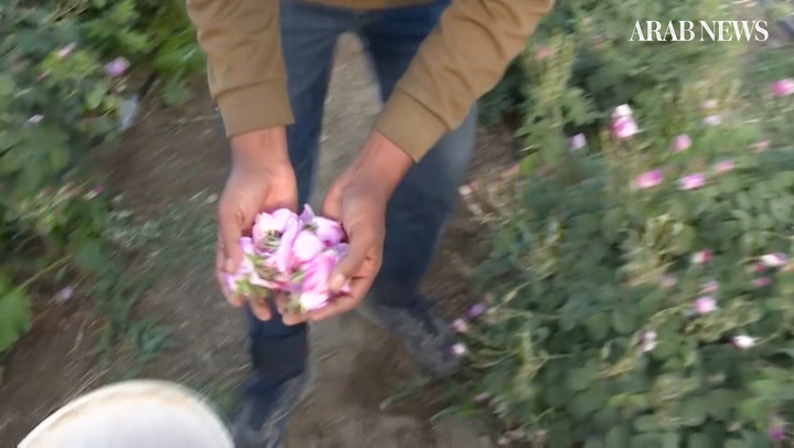 Saudi Arabia’s city of roses blooms in Ramadan