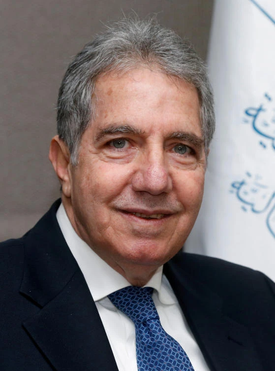 Lebanon must ration subsidies before reserves run out — finance minister