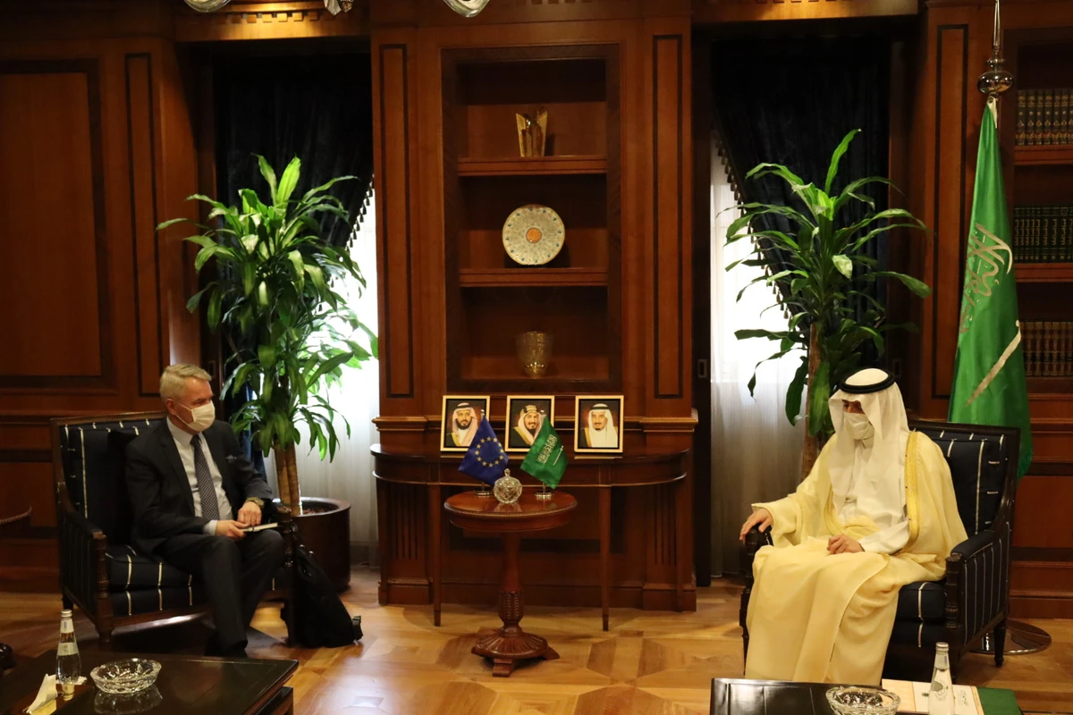 Saudi and Finnish foreign ministers hold talks on Ethiopia's Tigray