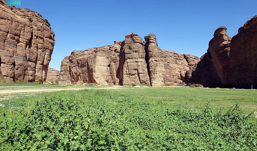 Registration opens for Hammayah program in Saudi Arabia’s AlUla