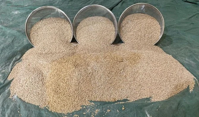 Saudi authorities foil drug smuggling plot at Jeddah port