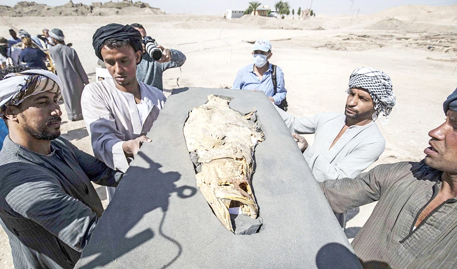 Expert reveals details of astonishing archaeological find