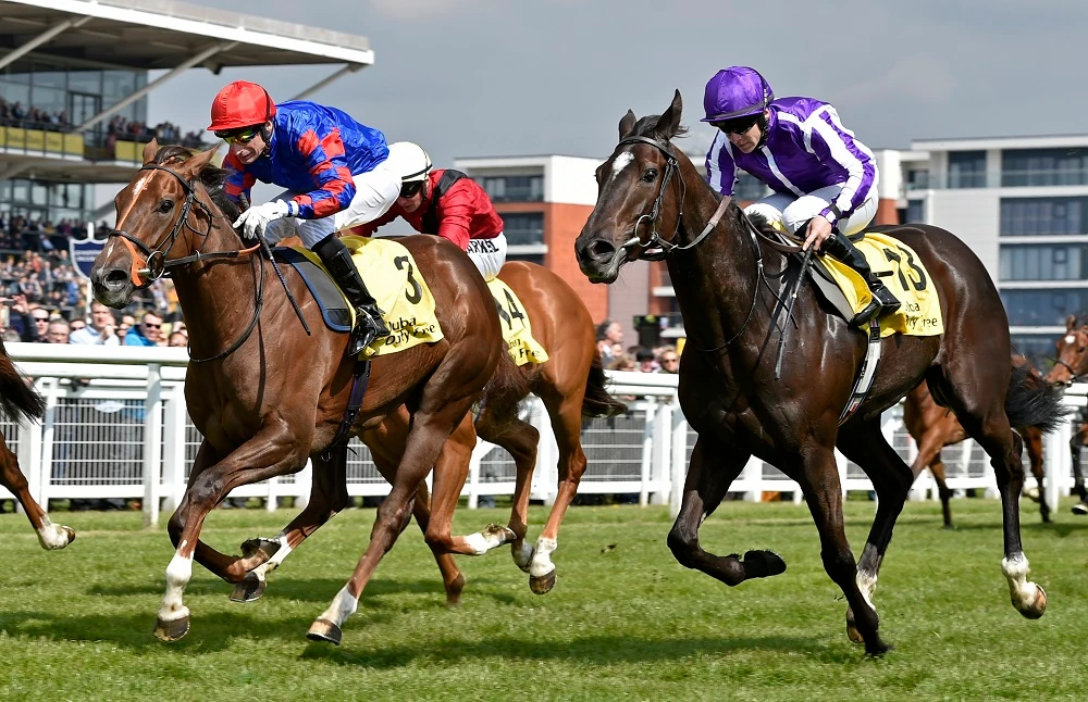 Dubai Duty Free Spring Trials Weekend returns to Newbury Racecourse on Friday and Sunday. (Dubai Duty Free Racing)