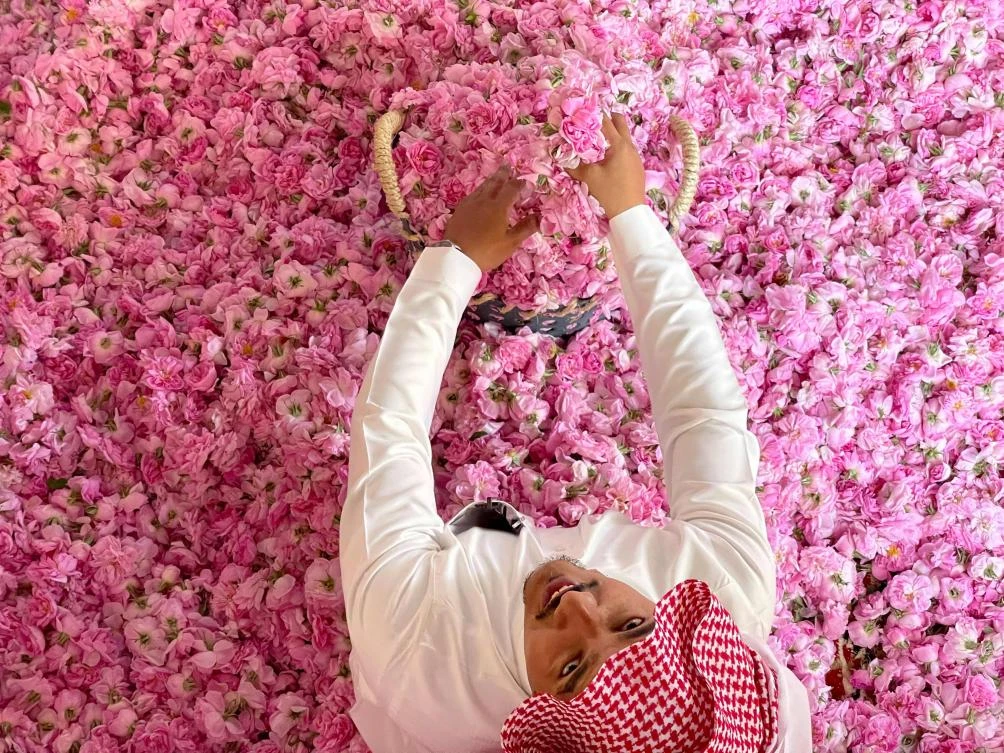 A worker at the Bin Salman farm sits amidst freshly picked Damascena (Damask) roses in the air, used to produce rose water and oil, in the western Saudi city of Taif. (AFP)