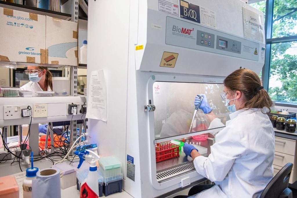 Trials of HIV vaccines set to begin