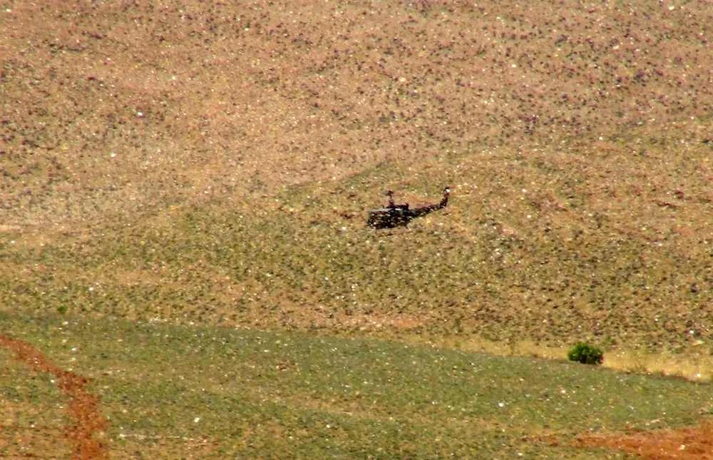 Panic in Lebanon as desert locust swarms hit farmland