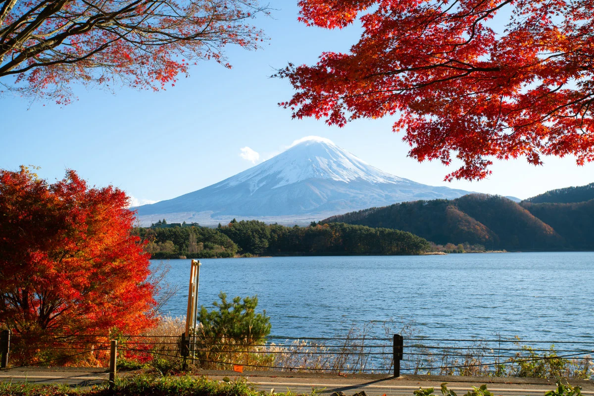 Japan steps up marketing push to win back Saudi tourists