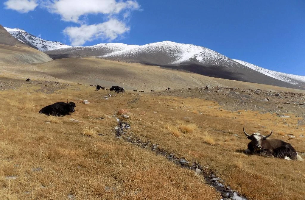 Set in concrete: In a first, Kabul builds $5m road via tough terrain to access China