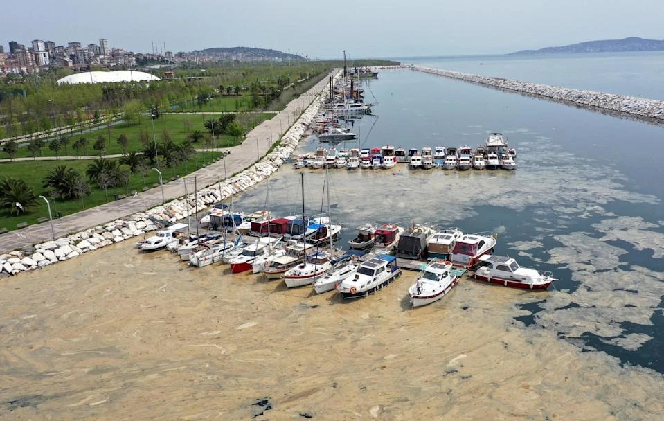 A section of Istanbul waterfront showing sea snot infestation, which has exacerbated over the last six months. (Getty Images)