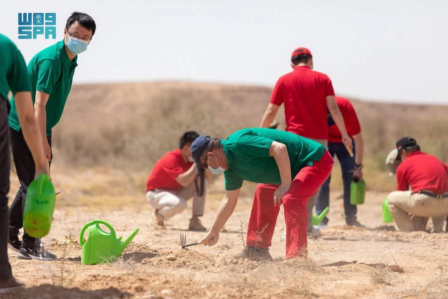 Chinese ambassador takes part in Saudi forestation campaign