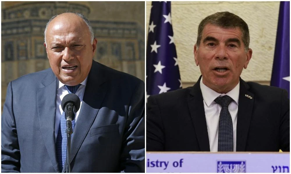 Egypt's foreign minister Sameh Shoukry is due to meet his Israeli counterpart Gabi Ashkenazi on Sunday for talks. (File/AFP)