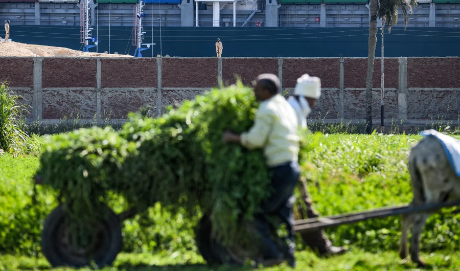 Farmers load a donkey-drawn cart with produce (foreground) as Egyptian army soldiers stand on guard (background) near Egypt's Suez Canal waterway, on March 29, 2021. (AFP)