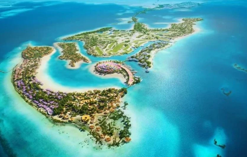 Red Sea company hires WSP to ensure preservation in Coral Bloom project