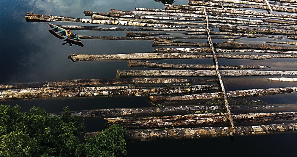 More deforestation threaten Brazilian agribusiness