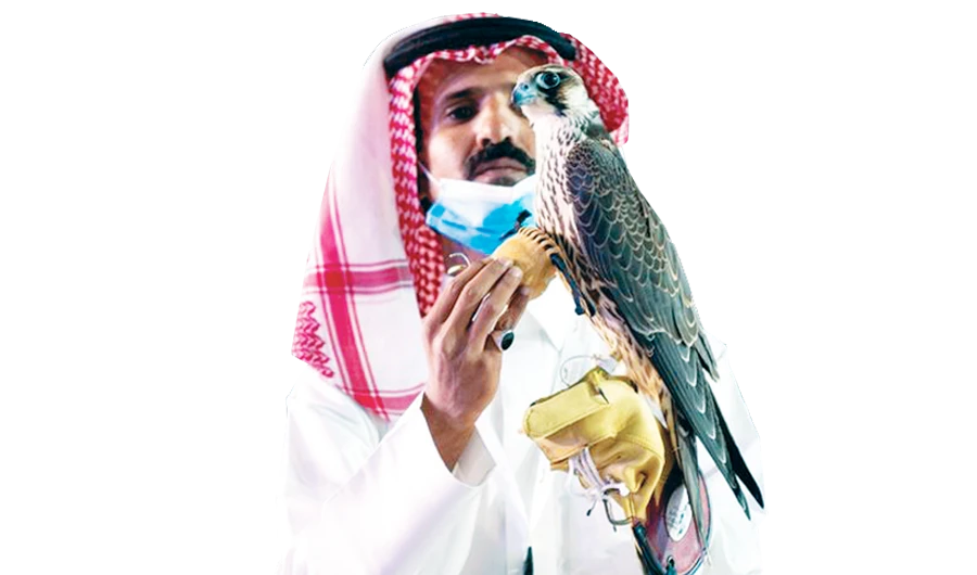 Last October, the Saudi Falcon Club organized a major auction that saw the sale of a young peregrine, captured in Hafr Al-Batin, for SR650,000 ($173,000), making it the most expensive sale to date. (Reuters/File)
