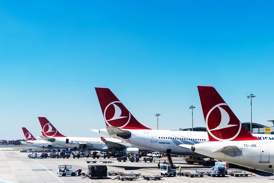 The additional flights start from June 17. The airline said it would offer discounted flights for bookings made before June 18, starting at around $435 for economy class. (Shutterstock)