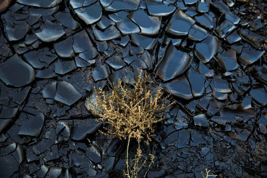 A polluted area caused by an oil spill is seen at the Evrona desert reserve, near the Red Sea resort city of Eilat. (Reuters)