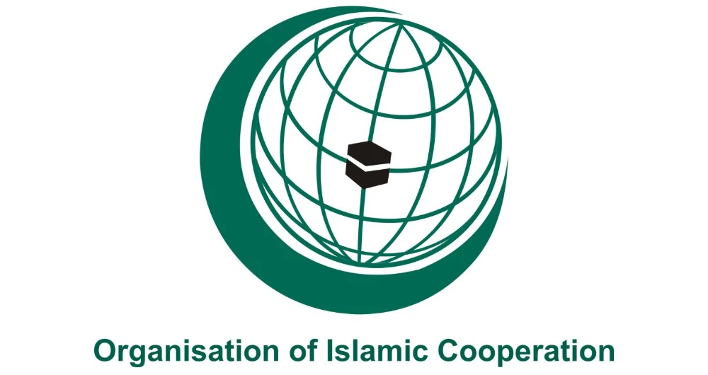 Organization of Islamic Cooperation chief urges focus on education, food security at summit