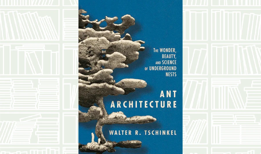 What We Are Reading Today: Ant Architecture; The Wonder, Beauty, and Science of Underground Nests
