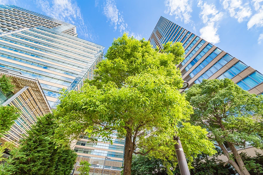 Experts to find pathway to implement UN’s Sustainable Development Goals